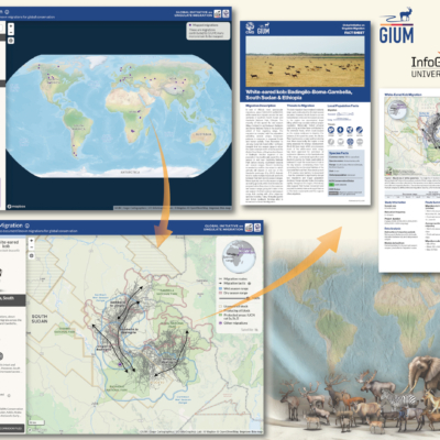2025 CaGIS Map Design Competition, Best in Show, Winner, Professional Map Competition (Interactive/Digital): The Atlas of Ungulate Migration by Kauffman, M., S. Albeke, M. Atallah, M. Boyers, F. Cagnacci, S. Chamaille-Jammes, J. Fugate, I. Freeman, J. Gage, M. Hebblewhite, G. Hopcraft, W. Kirkpatrick, J. Merkle, J. Merson, T. Mueller, S. Mumme, A. Mysterud, C. Nobbe, W. Peters, E. Steiner, A. Steingisser, editors. (Bavarian State Institute of Forestry; Centre National de la Recherche Scientifique; Fondazione Edmund Mach; Gage Cartographics; Senckenberg Nature Research Society; University of Glasgow; University of Oregon, InfoGraphics Lab; University of Wyoming, Wyoming Migration Initiative)